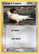 le singe et le