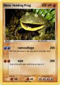 Water Holding