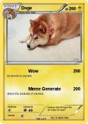 Doge