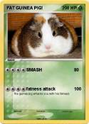 FAT GUINEA PIG!