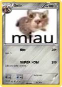 Gatto