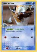 turtle sundae
