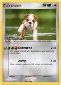 Cute puppy