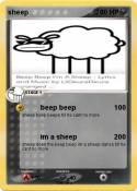 sheep