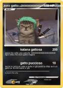 zoro gatto