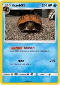 Hazel-GX