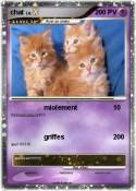 chat