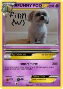 FUNNY FOO