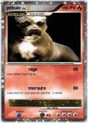 pitbule