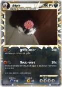 chipie