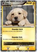 lil' dog