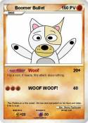 Boomer Bullet