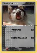 DERP DOG