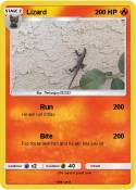 Lizard