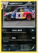 dogeincar1111!