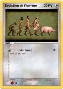 Evolution de