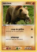 ours brun