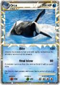 Orca