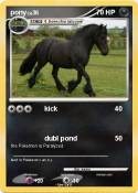 pony