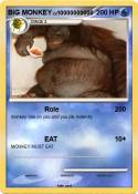 BIG MONKEY