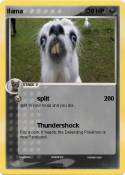 llama
