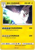 BIG CHUNGUS