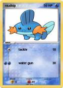 mudkip