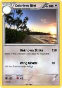 Colorless Bird