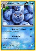 Blueberry cat