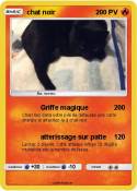 chat noir