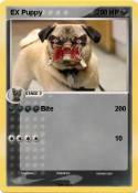 EX Puppy