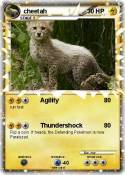 cheetah