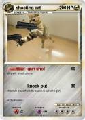 shooting cat
