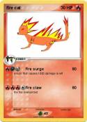 fire cat