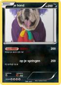 je hond