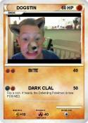 DOGSTIN
