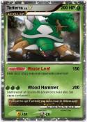Torterra