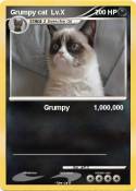 Grumpy cat Lv.X
