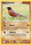 American Robin