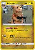 Terrorism