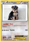 Cute Puppy