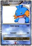 mudkip