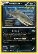 Lemon Shark