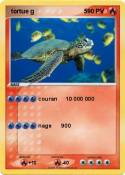 tortue g 5