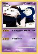 Shiba