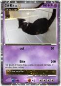 Cat Ex