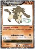 Zorua roche