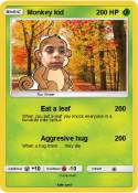 Monkey kid
