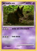 am'staffie mix