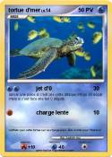 tortue d'mer